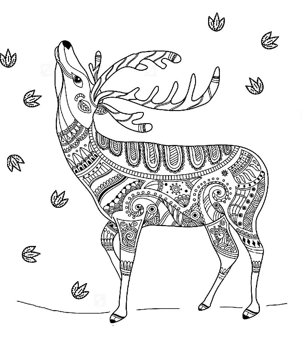 Zentangle Deer von Deer