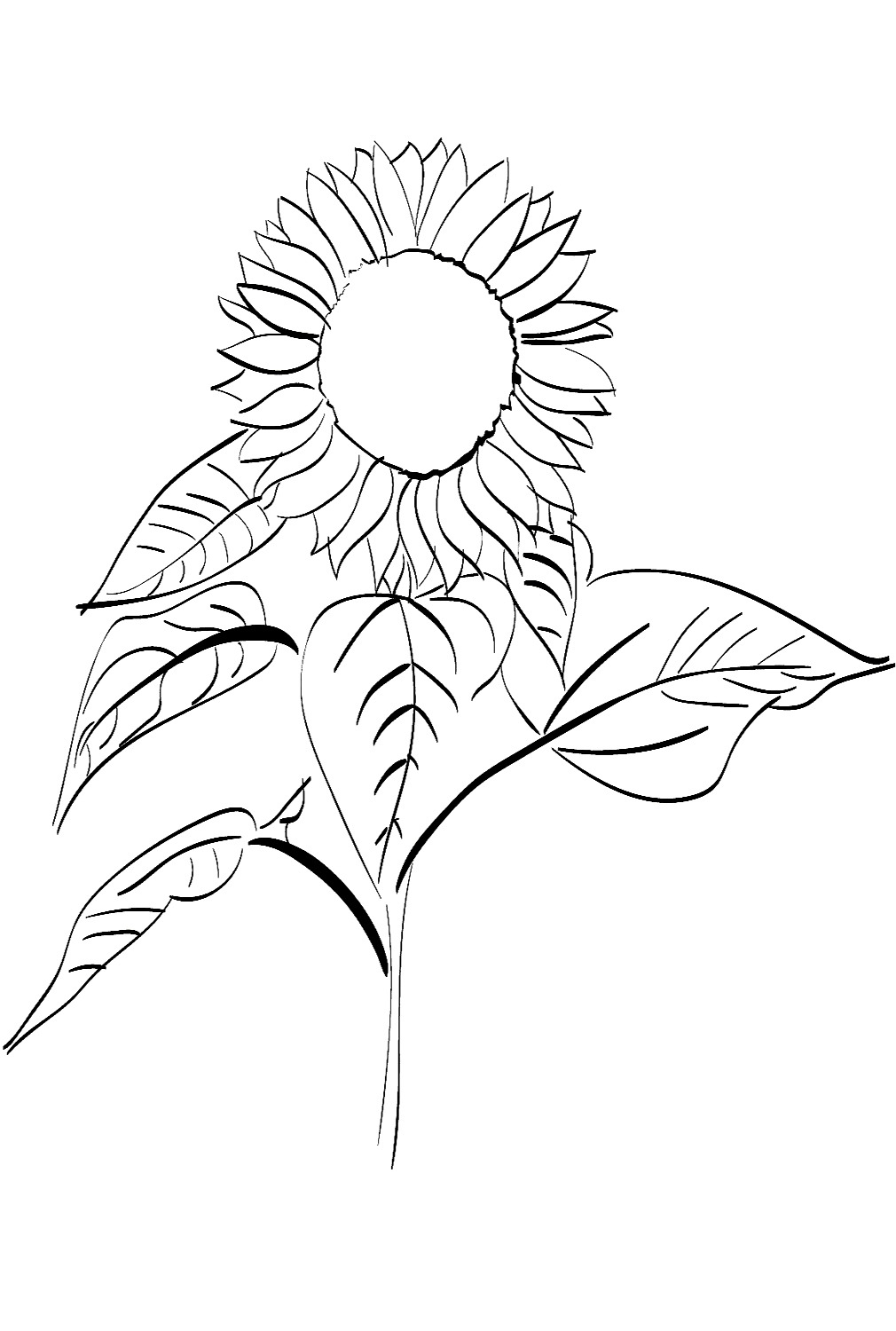 Zonnebloemen en bladeren van zonnebloem