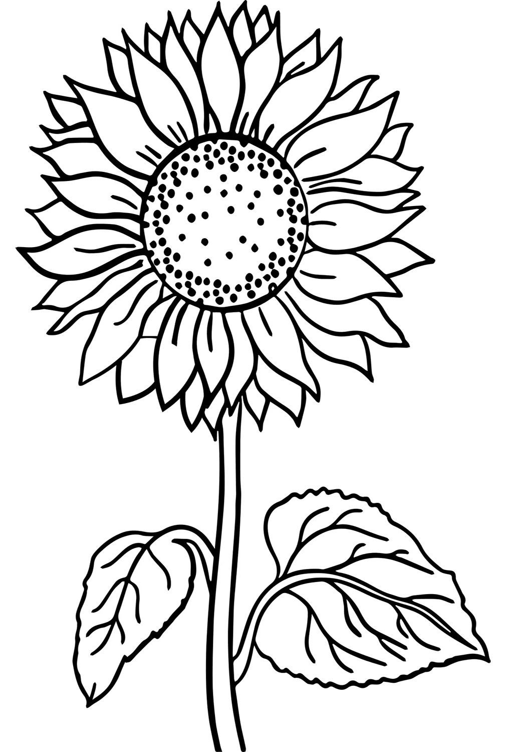 Gratis eenvoudige zonnebloem van Sunflower