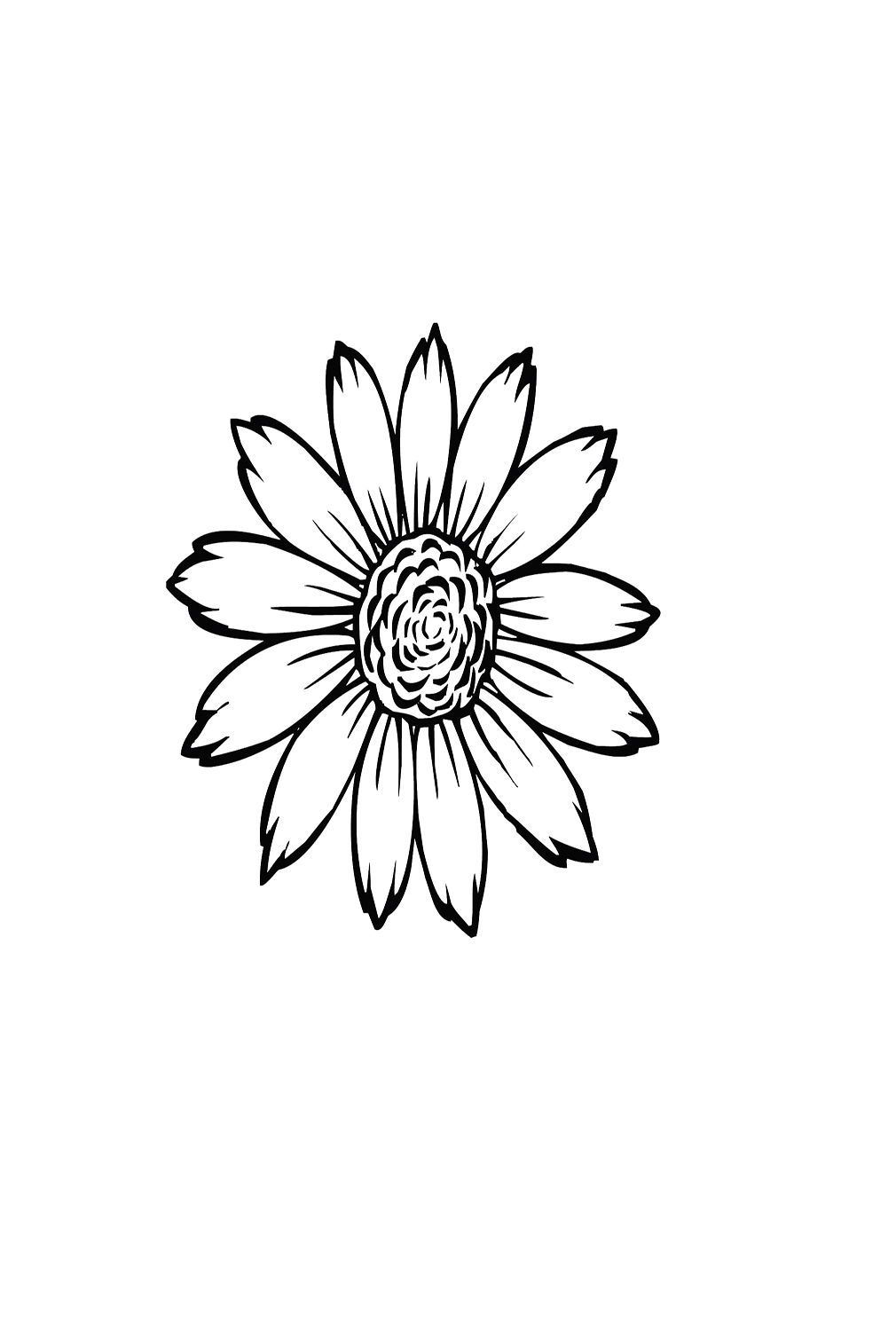 Flowering Head of Sunflower Coloring Page