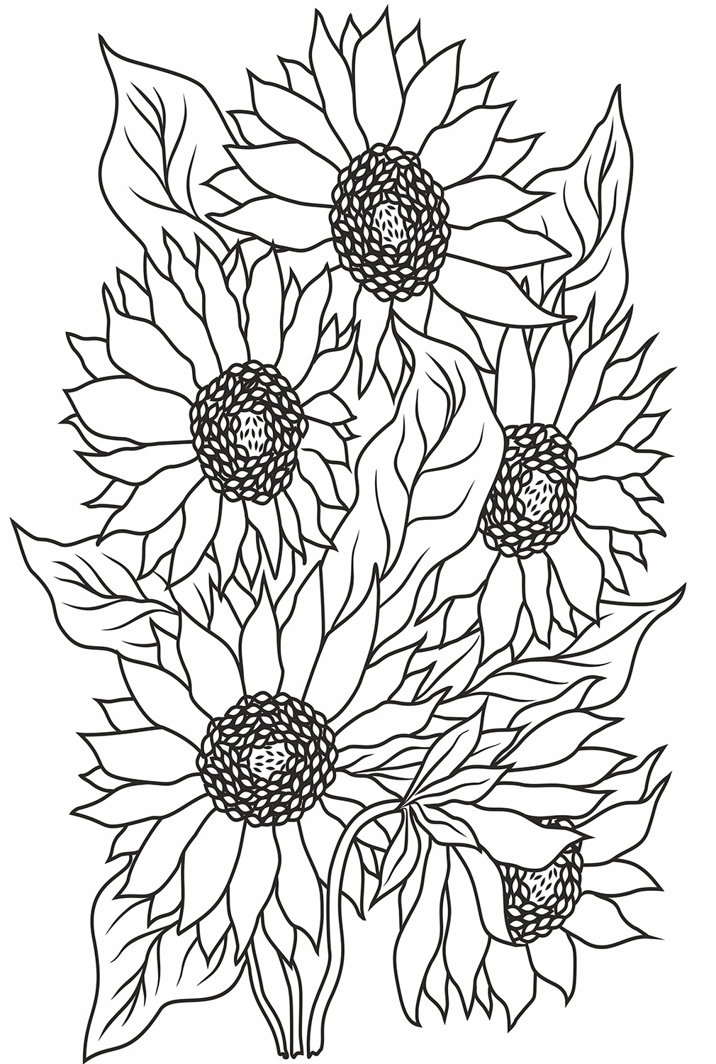 Prachtige Zonnebloemen van Sunflower