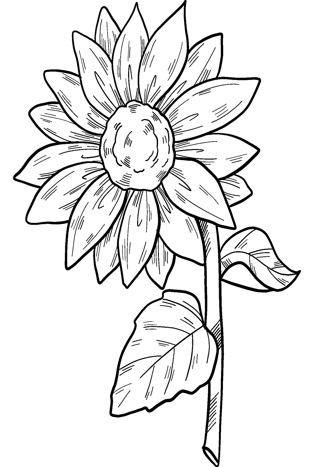 Sonnenblume für Kinder von Sunflower