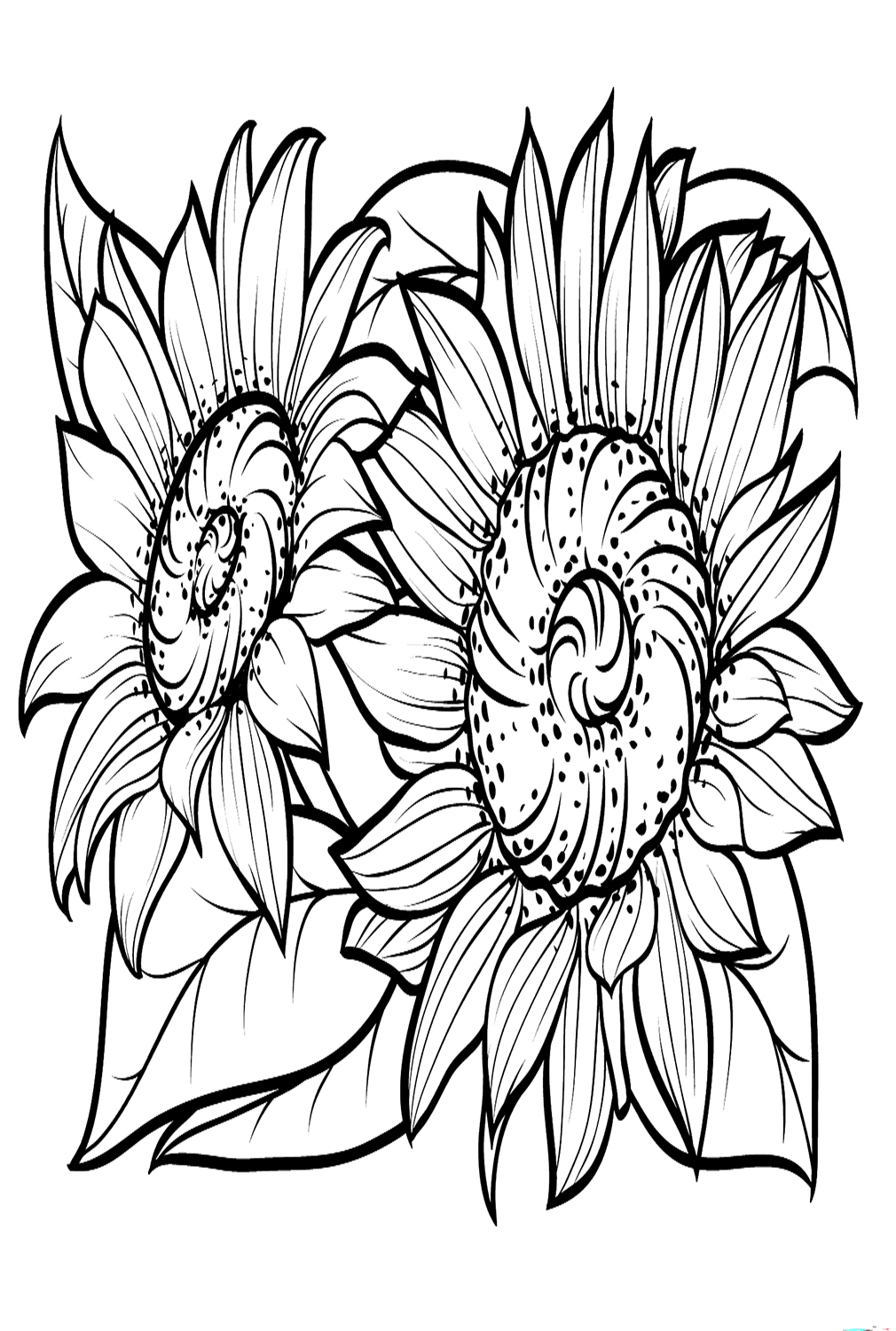 Imprimíveis de girassóis da Sunflower