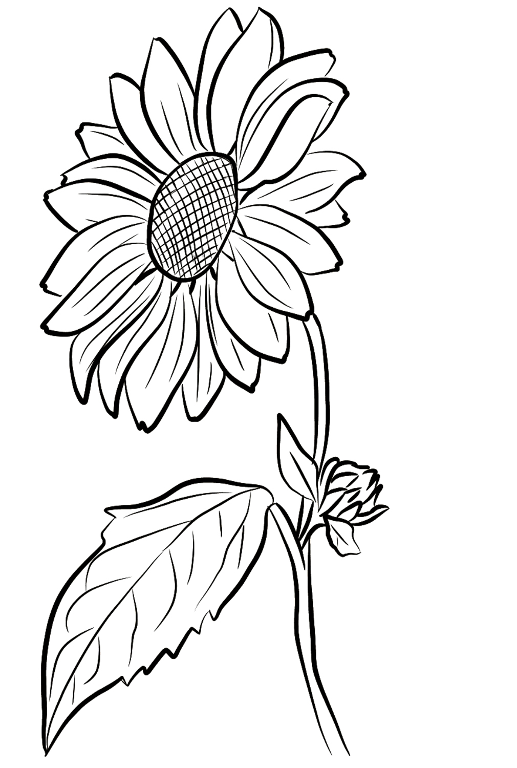 Sonnenblume zum Ausdrucken von Sunflower