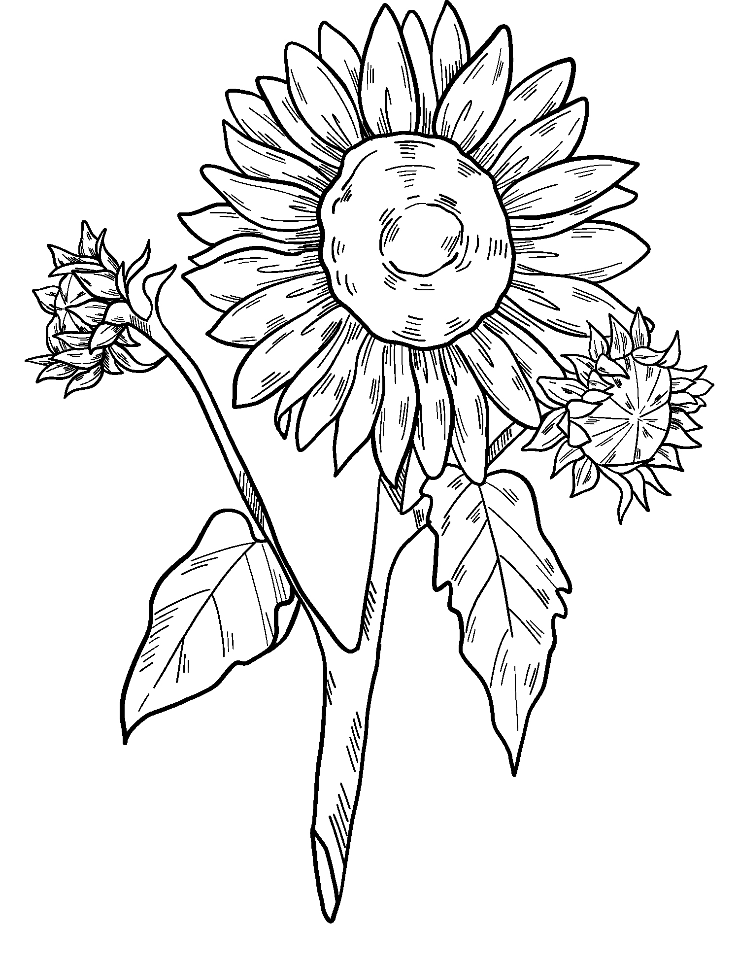 Eenvoudige zonnebloemen van Sunflower