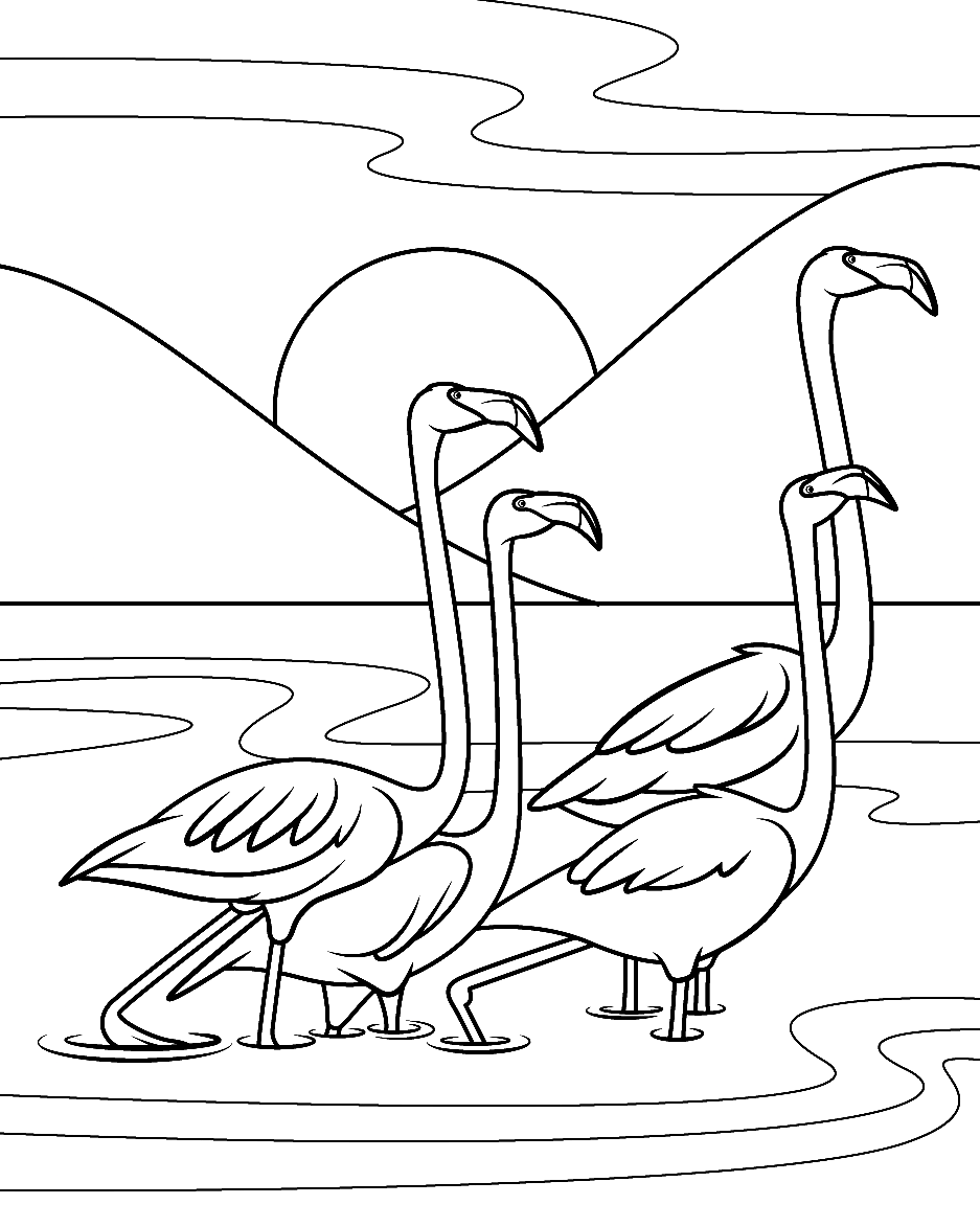 A Flock Flamingos Under the Sunset Coloring Page