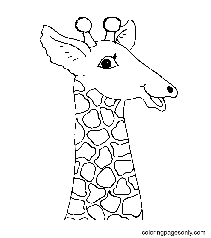 A Giraffe for Kids Coloring Page