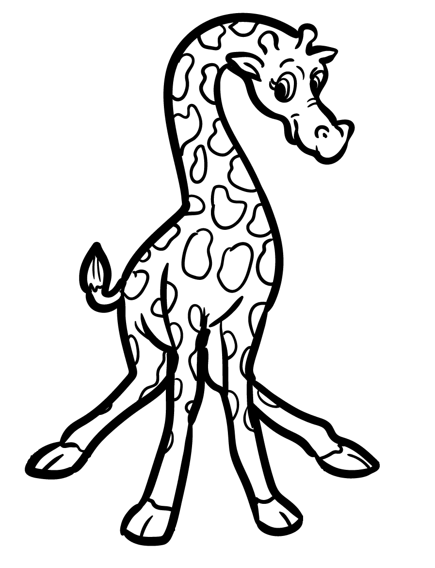 Schattige giraffe van Giraffen
