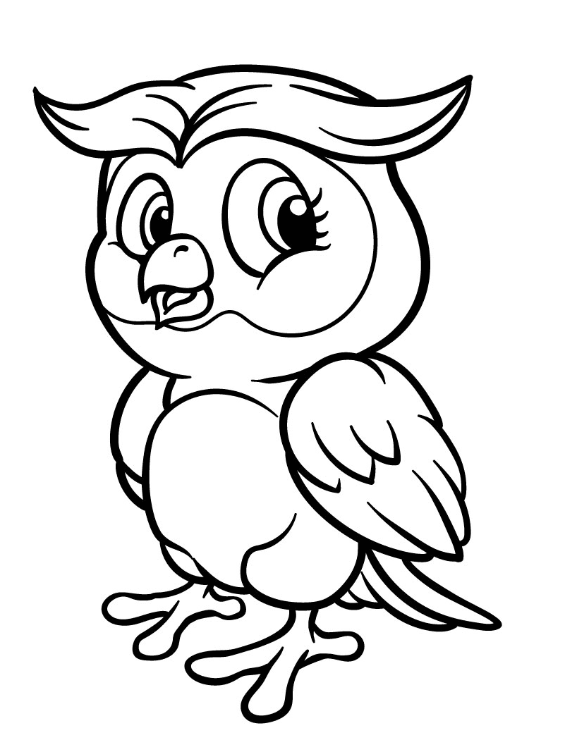Entzückende Eule von Owl