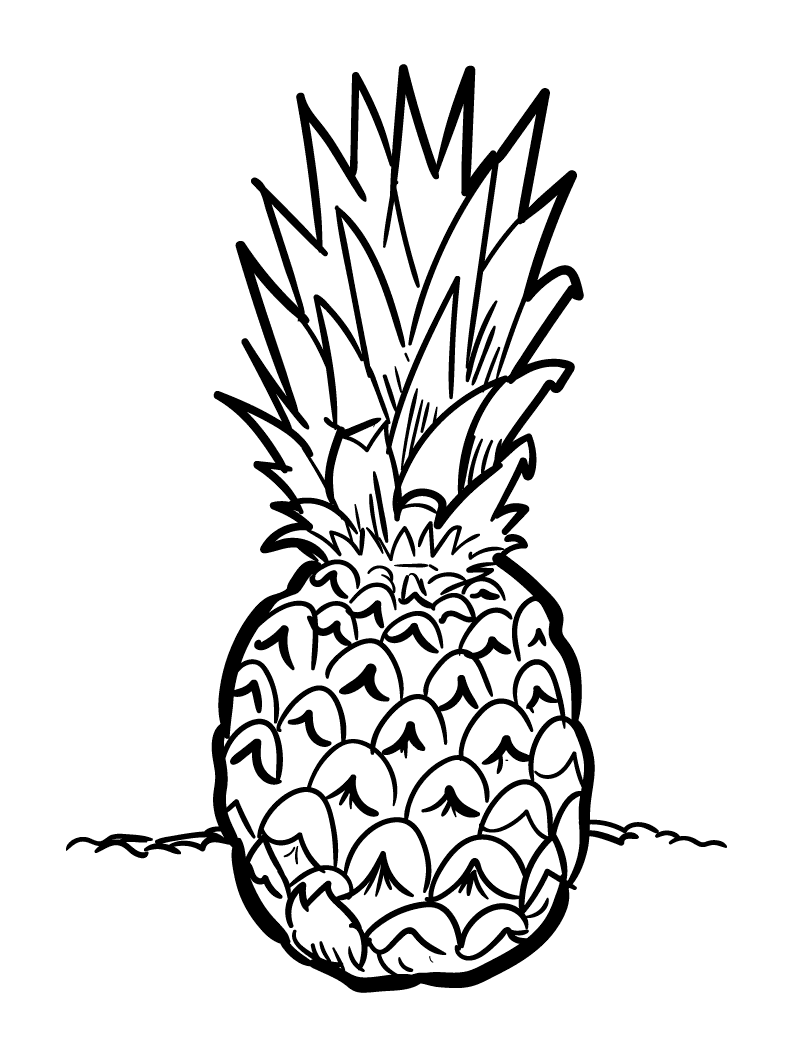 Schattige Ananas van Pineapples