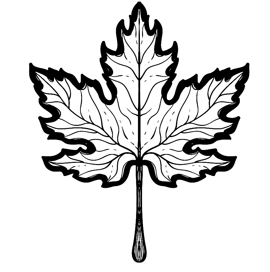 Herfst Maple Leaf Kleurplaat
