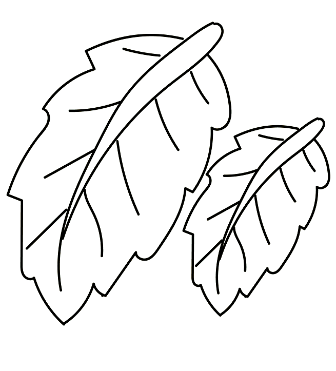 Bananenblad van Leaf