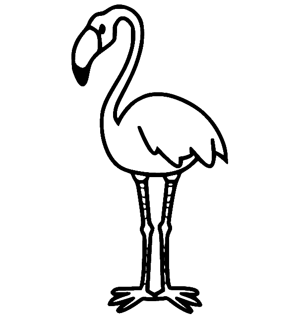 Beautiful Flamingo Coloring Pages