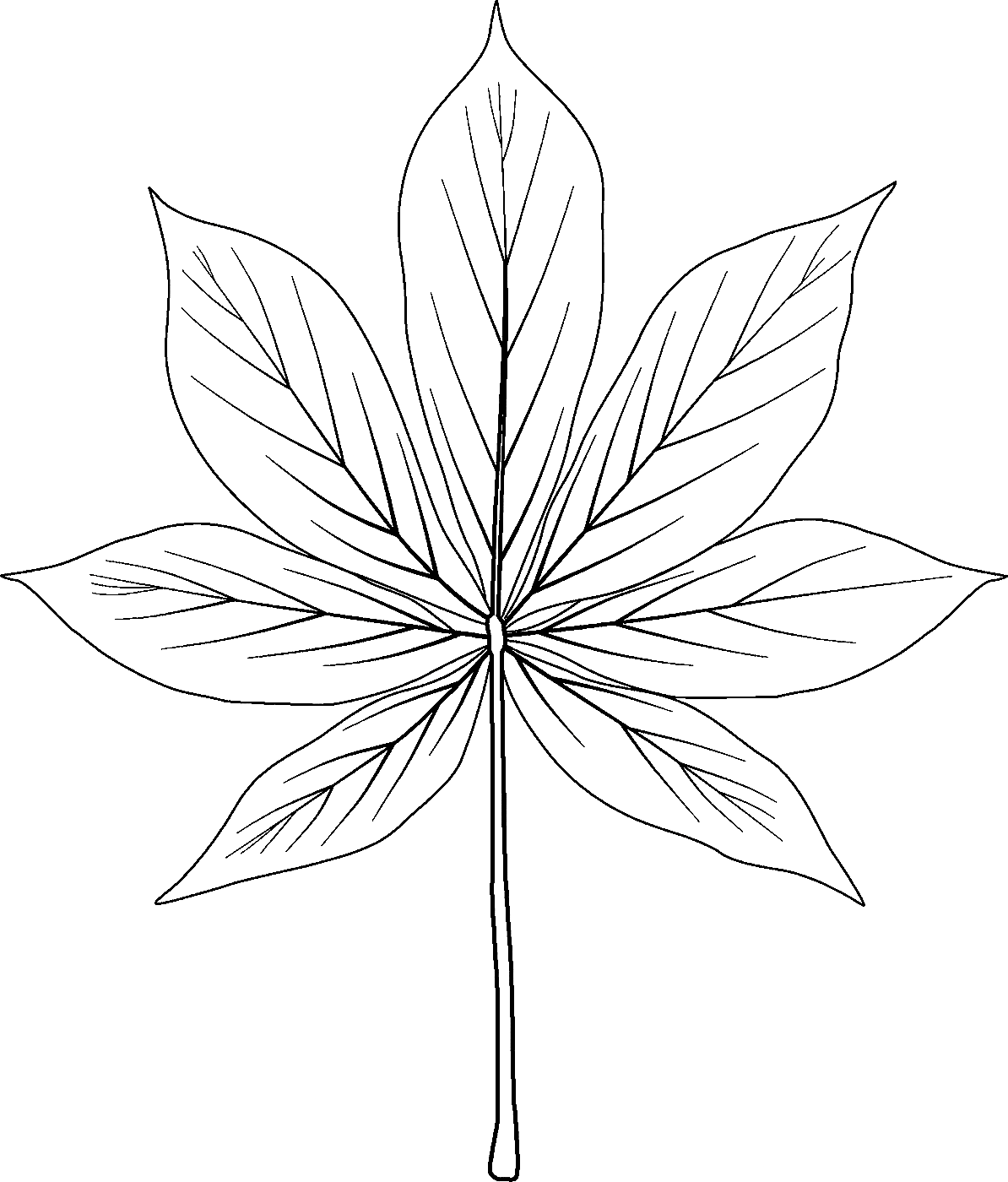 California Buckeye Leaf Coloring Pages