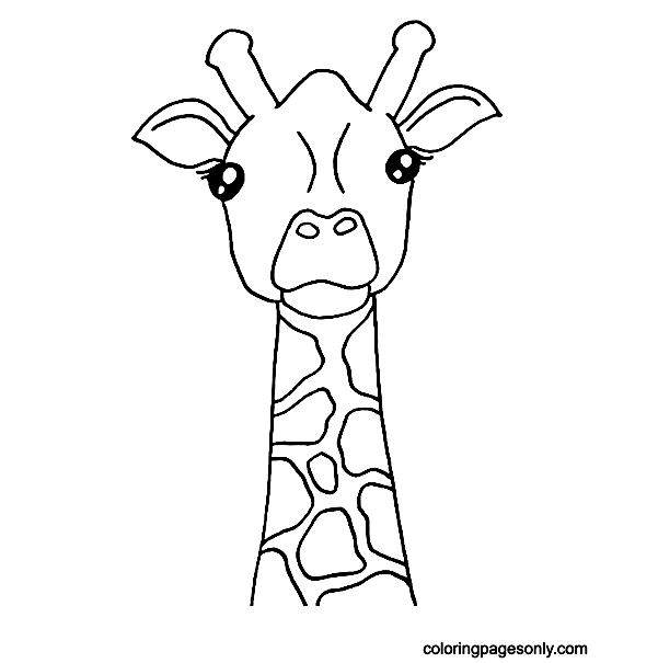 Cool Giraffes Coloring Page