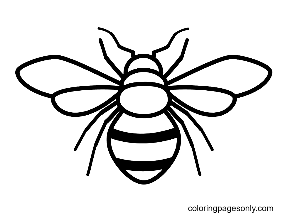 Cute Bee For Kid Coloring Page