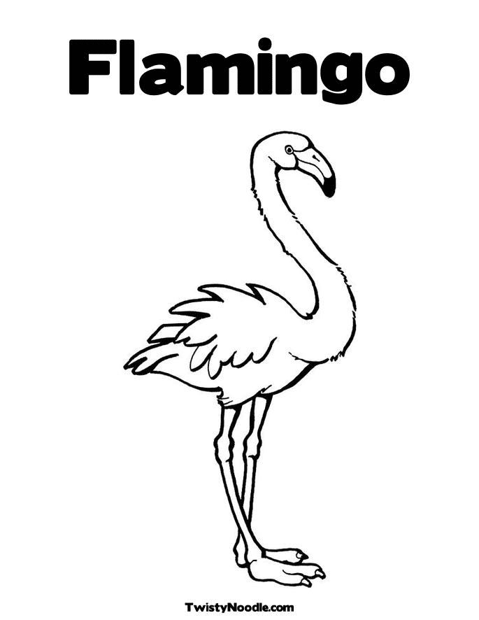 Милый розовый фламинго из мультфильма "Фламинго"