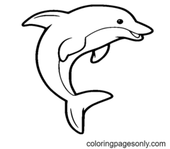 海豚着色页