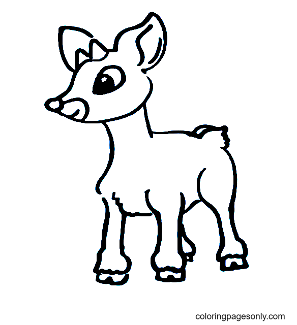 Disegna la renna Rudolph da Rudolph