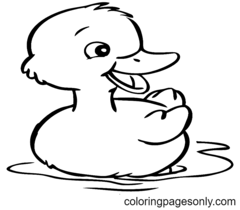 Ducks Coloring Pages