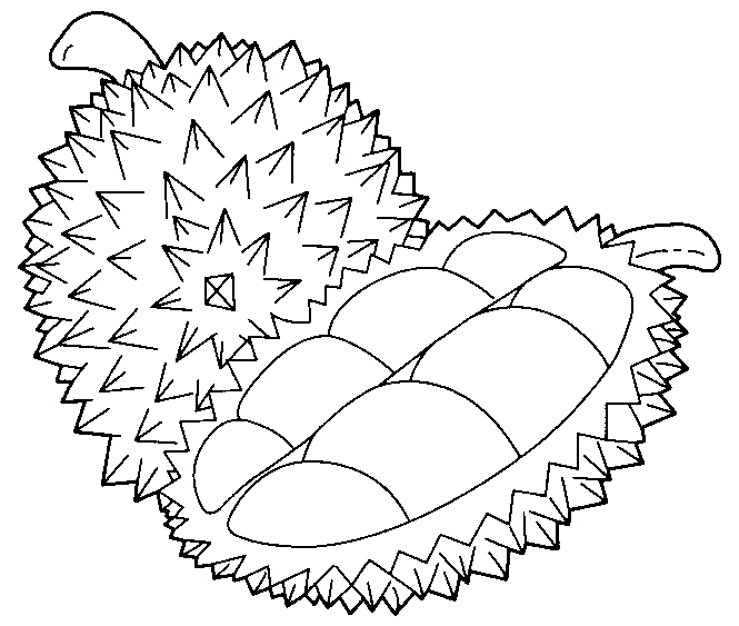 Fruta-de-durian Página Para Colorear