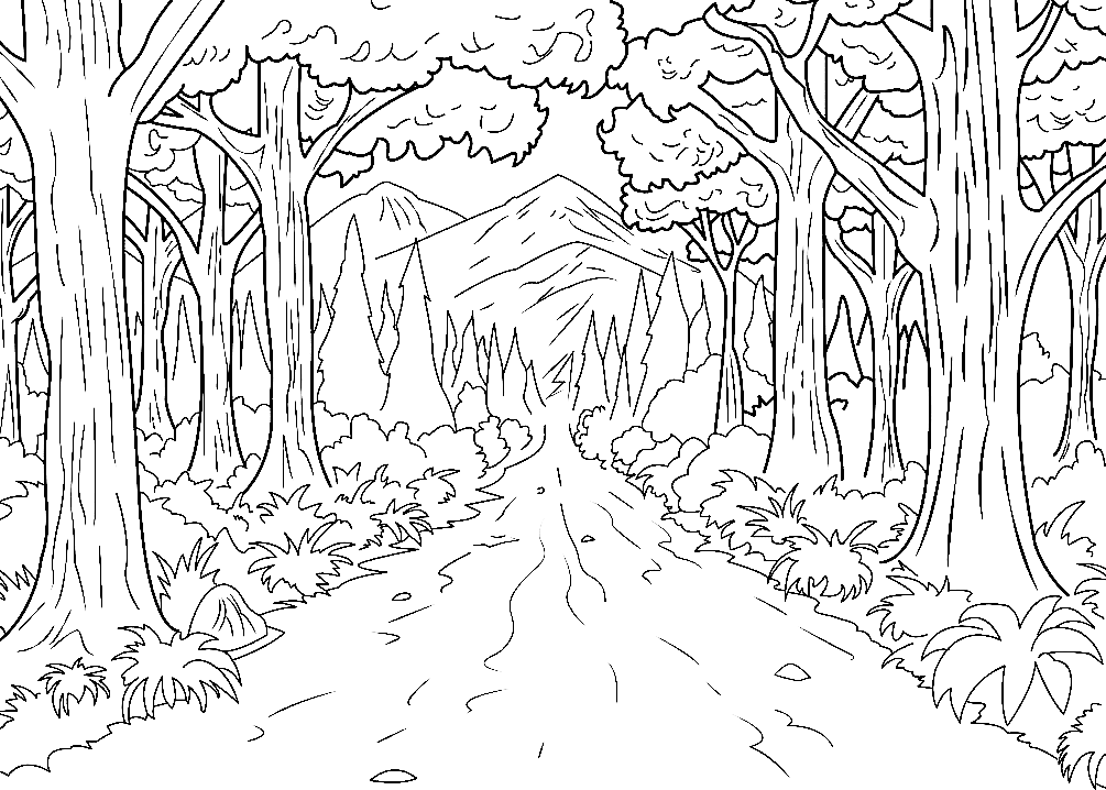 الغابة الممتازة من الغابة