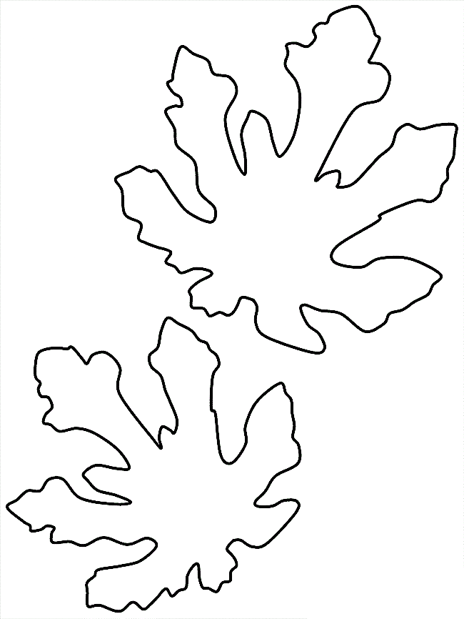 Fig Leaves Coloring Page