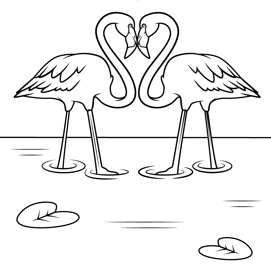 Flamingo Couple in the Water Coloring Pages