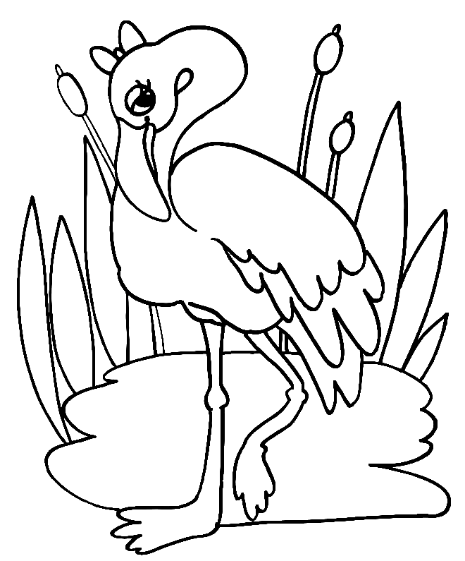 Flamingo Near the River Coloring Page