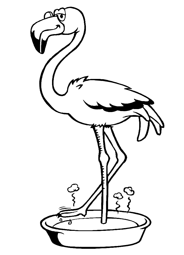 Flamingo nadando de Flamingo