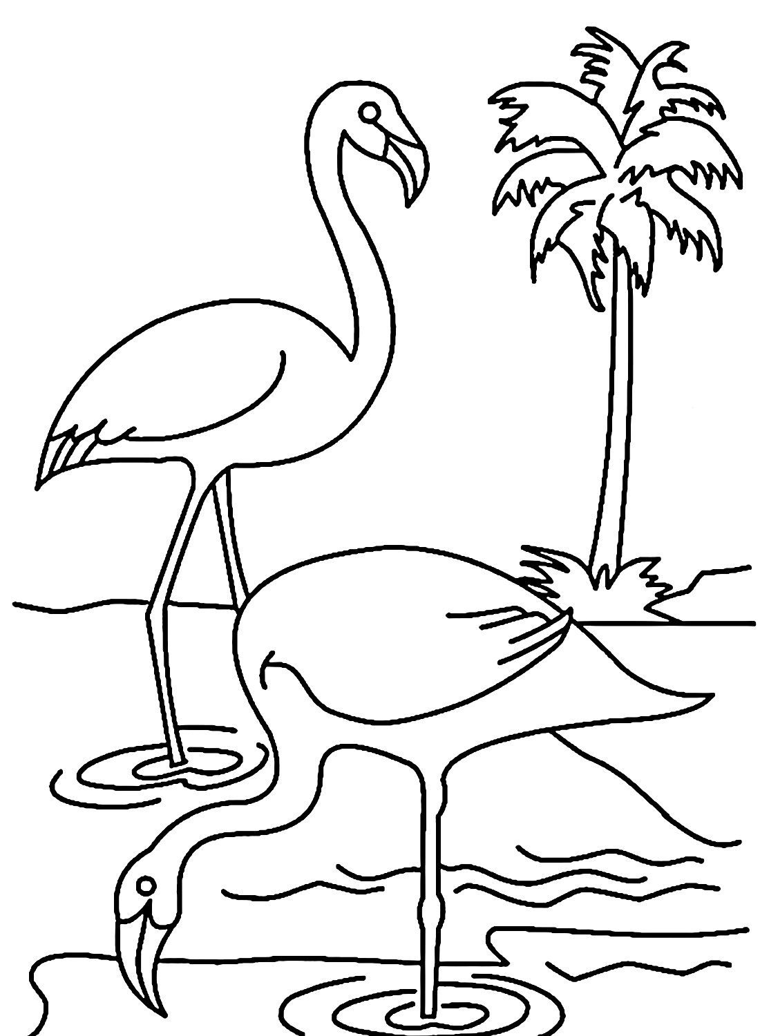 Flamingos Looking for Fish Coloring Pages
