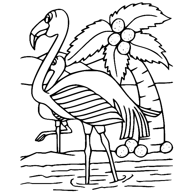 Flamingos and Coconut Tree Coloring Page