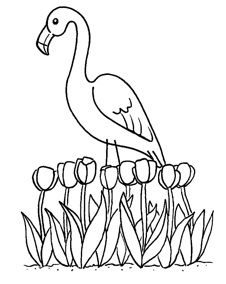 Flamingos and Flowers Coloring Page