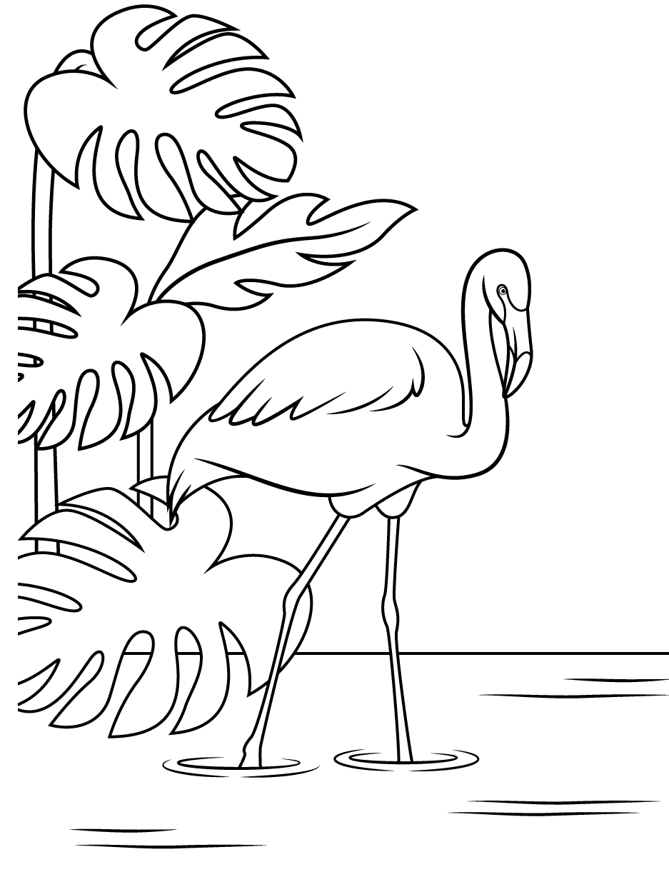 Flamingos With Palm Leaves Coloring Pages