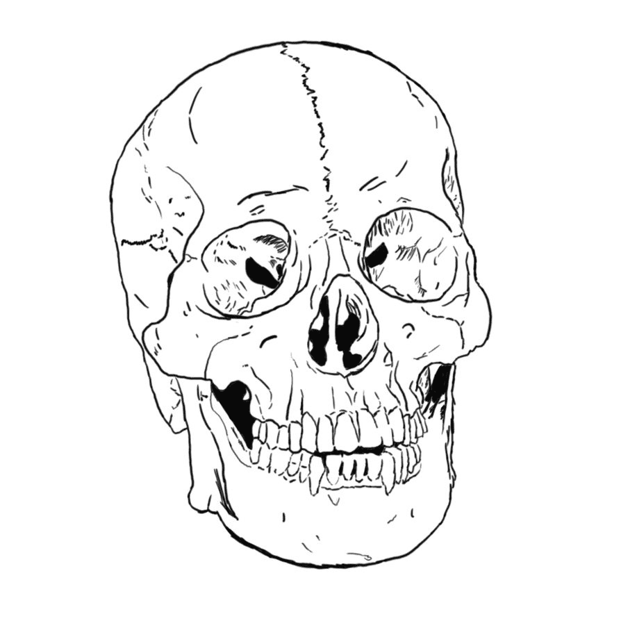 Free Skull Coloring Page