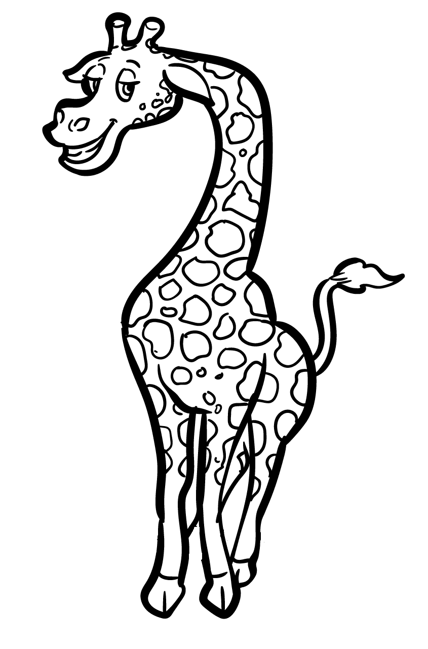 Забавный жираф из Giraffes