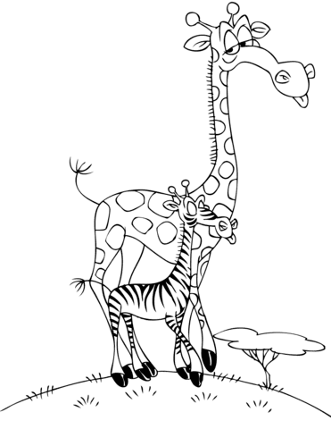 Giraffe und Zebra von Giraffen