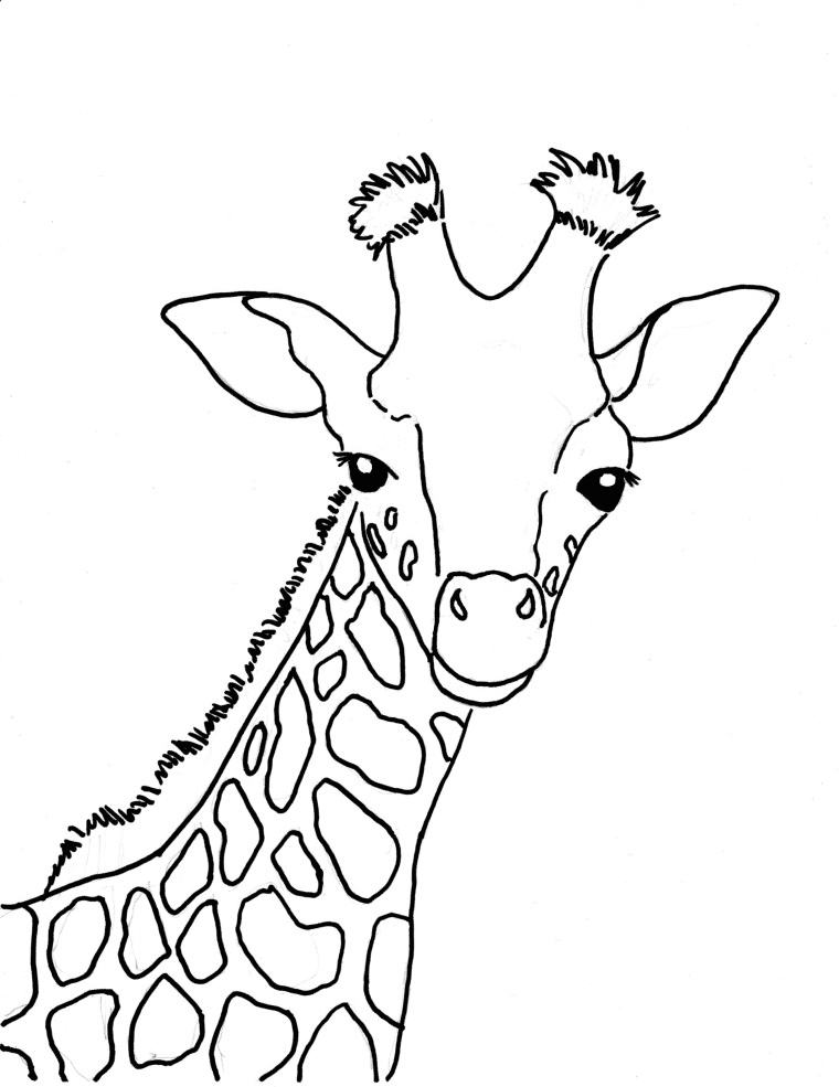 Giraffe Free Coloring Page