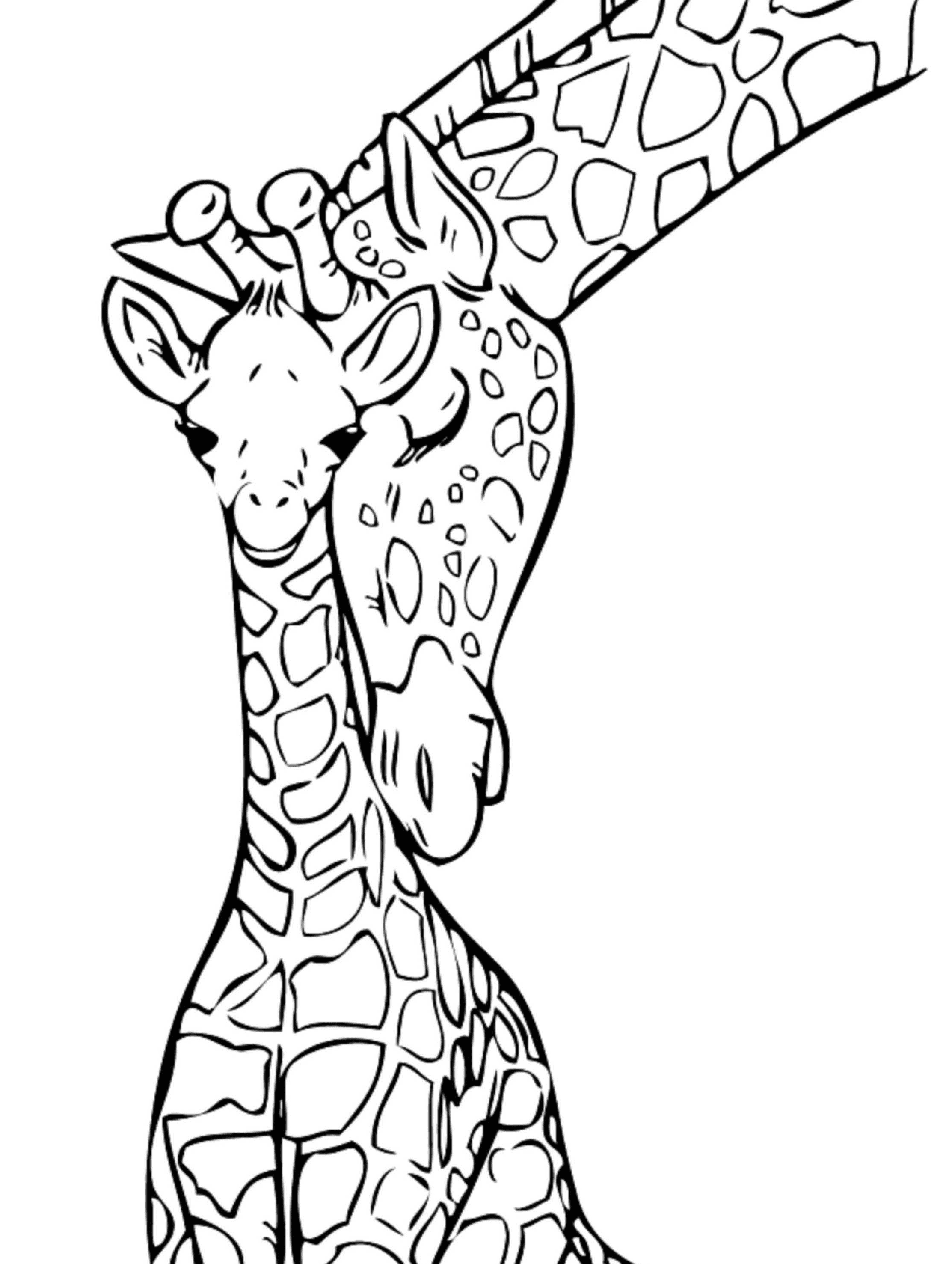 Giraffe Mother and Child Coloring Page