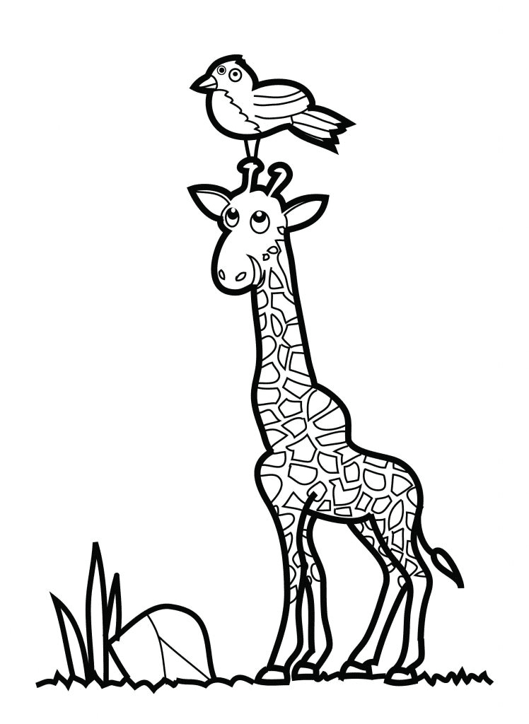 Giraffe with Bird Coloring Page