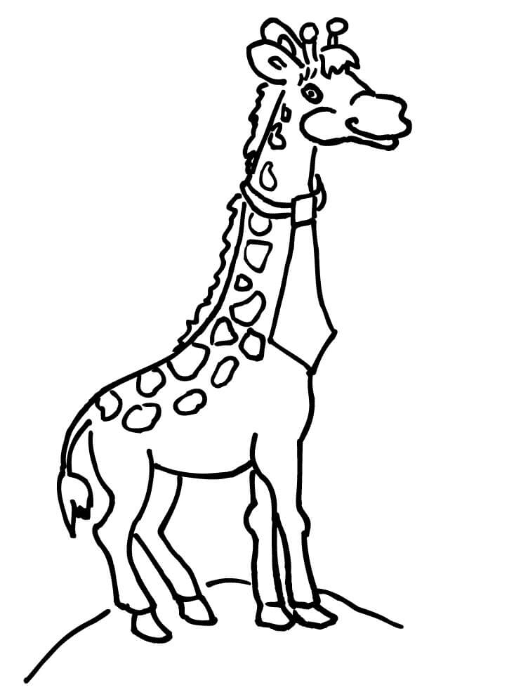 Girafe avec cravate de Giraffes