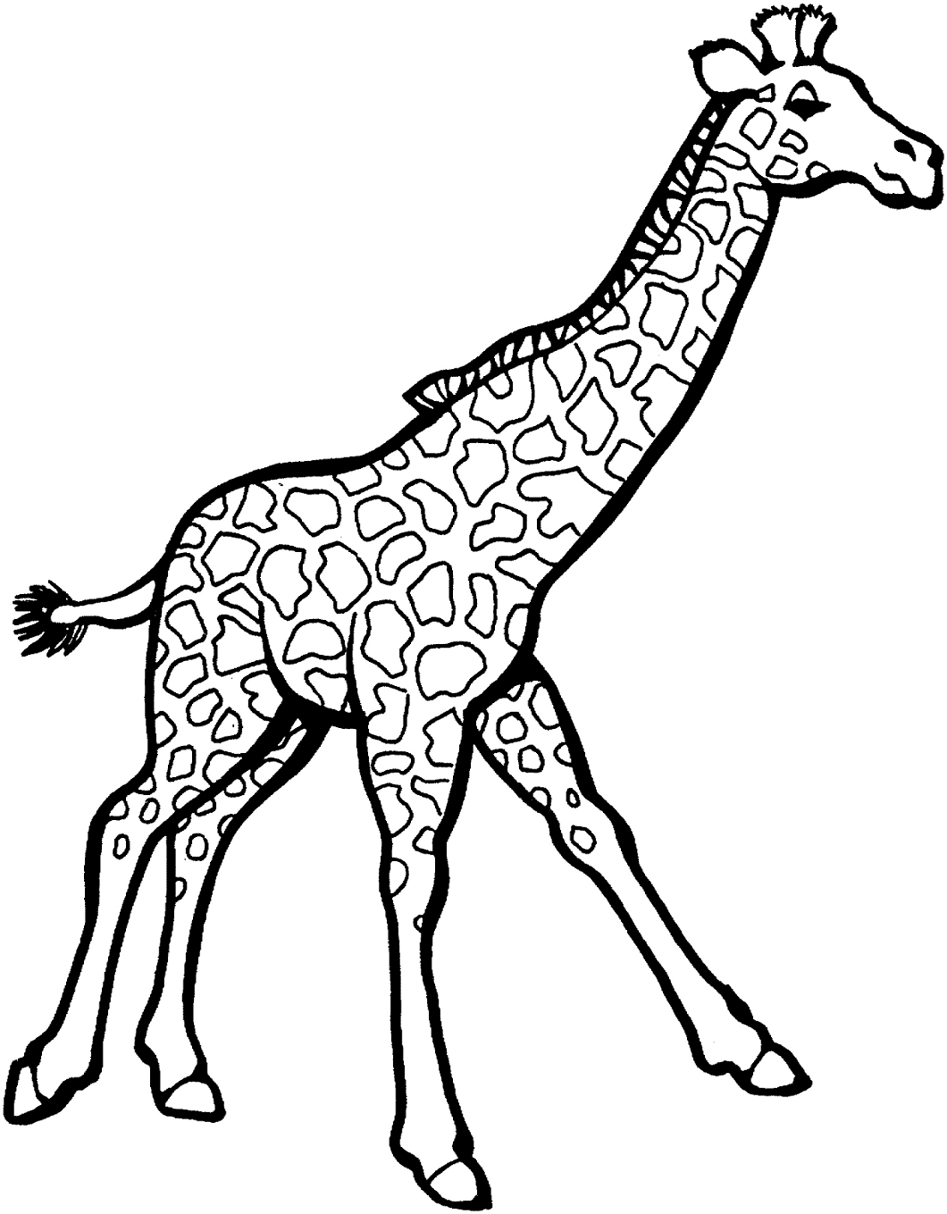 Girafes pour enfants de Giraffes