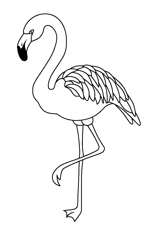 Anmutiger Flamingo von Flamingo