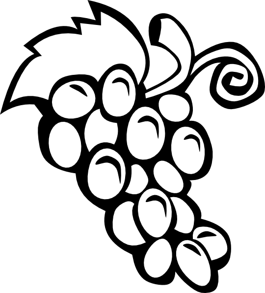 Виноград Плоды из винограда
