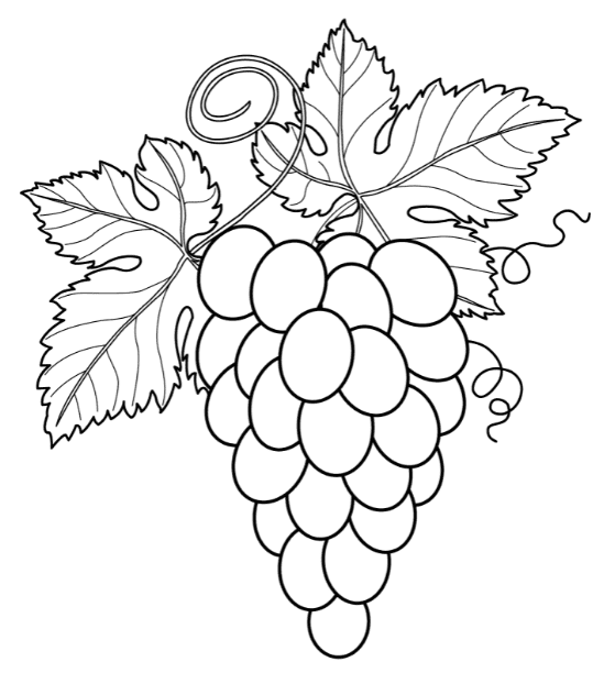 Grapes with Leaves Coloring Page