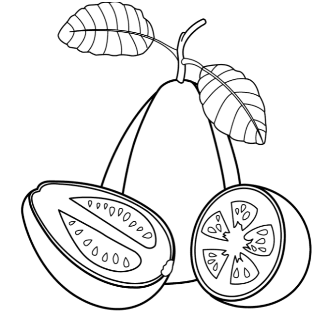 Guava Fruits Coloring Page