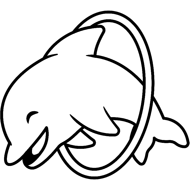 海豚的快乐海豚