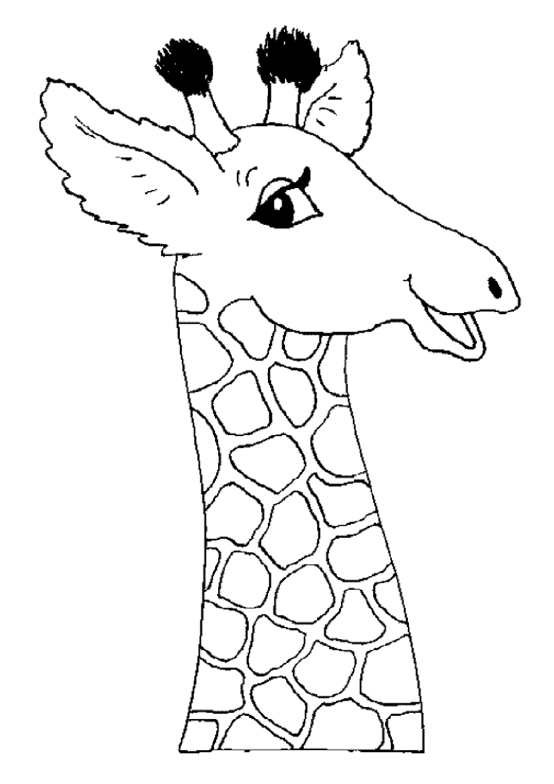 Girafe heureuse des girafes