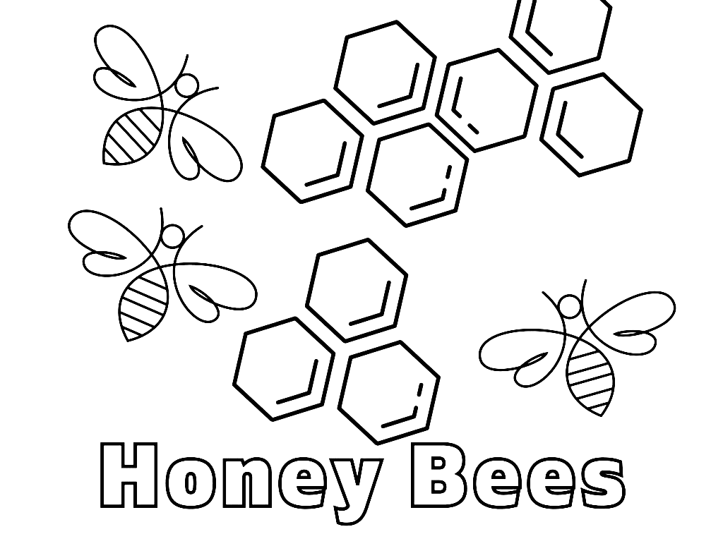 Honey Bees Coloring Pages