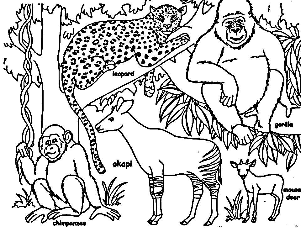 Jungle Animals Printable Coloring Page